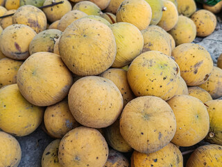Ripe Santol or Sentul fruit in the natural garden.(Sandoricum koetjape).