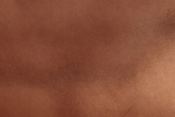 Texture of brown genuine leather. Background of dark luxurious skin