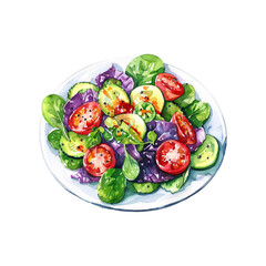 salad vector illustration in watercolor style