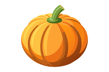 pumpkin isolated on white background