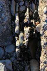 stones on the beach