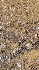 water in the river