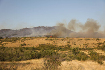 Naklejka premium Forest Fire: The Devastating Impact of Burning Woods and Smoke in the Air. Somewhere In Macedonia. 2024.