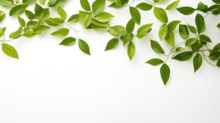 Obraz premium Fresh green leaves scattered on white background