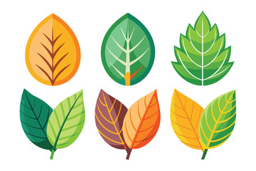 Colorful Flat-Style Leaf Illustrations