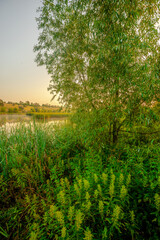 Sunrise over the river , trees and grass , golden hour in forest , summer morning . Sun over the woods , trees on the beach . Golden sun . Fog on a river . Morning landscape 