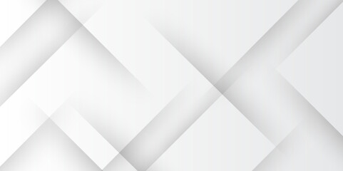 Fototapeta premium Elegant abstract background with grey lines with shadow. modern abstract gray line light dynamic shape composition background. modern design line and dots geometric background with copy space.
