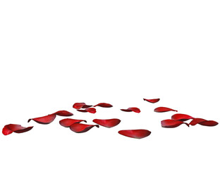 3D rendered illustration with red petals on the ground isolated on transparent background