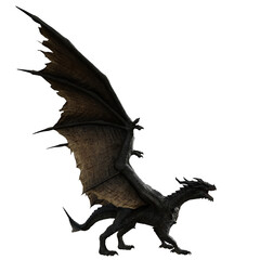 3D rendered illustration of a majestic dragon isolated on transparent background © HWWO Stock