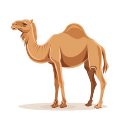 A cartoon-style camel standing on a light background, showcasing its unique hump and distinctive features. Perfect for digital projects. Isolated on transparent background.