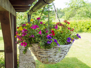 Close up white wicker basket, flower pot with various colorful blooming flowers hanging from wooden...