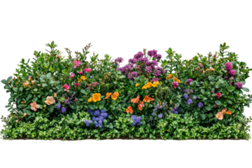 A vibrant flower bed features a variety of colorful blooms, creating an inviting atmosphere in a garden setting