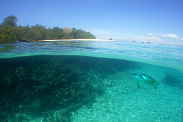 a paradise island and a reef in the caribbean sea