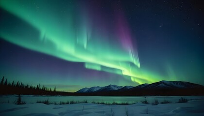 Naklejka premium A majestic sky with Aurora and stars is breathtaking