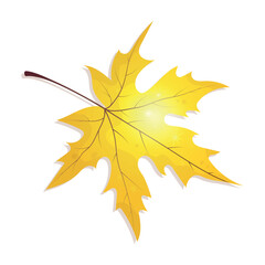 Realistic vector illustration of autumn leaf in yellow color. Wedge-shaped leaf for design, postcards, icons, banners, backgrounds, packaging, wallpaper, paper.