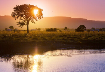 Rural landscapes in Brazil