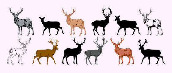 Set of silhouettes derr, doe animal character vector illustration. Isolated on white background.