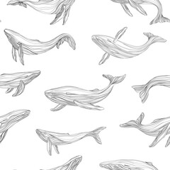 Seamless pattern with hand drawn whales. Abstract  illustration in sketch style.