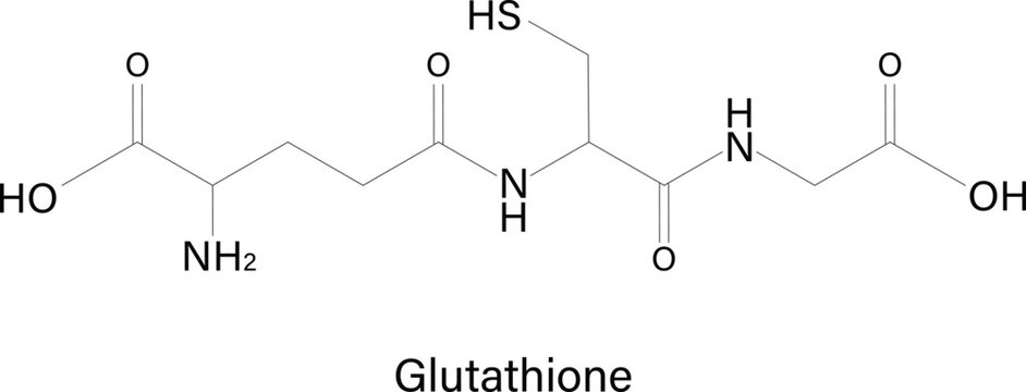 Easy to use vector image of Glutathione