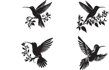 Fascinating Facts About Hummingbirds | Nature's Tiny Marvels