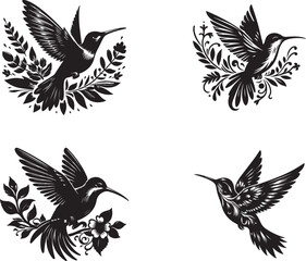 Fascinating Facts About Hummingbirds | Nature's Tiny Marvels