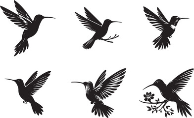 Fototapeta premium Fascinating Facts About Hummingbirds | Nature's Tiny Marvels