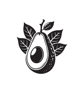 recommend clip art: Avocado fruit silhouette vector,black and white color