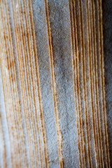 Fototapeta premium Extreme closeup of an old book from the side. Selective soft focus, shallow depth of field. Bibliophile, bookworm abstract background