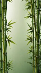 green bamboo leaves abstract background design copy space illustration art