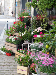 magasin de fleurs