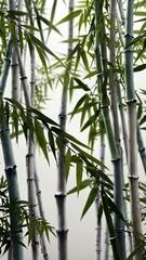 white bamboo leaves abstract background design copy space illustration art
