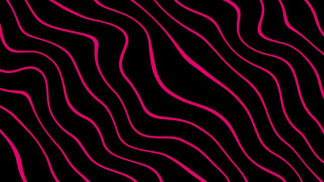 Line Wavy pattern Pink and Black Topographic Contoured Animated background in 4k
