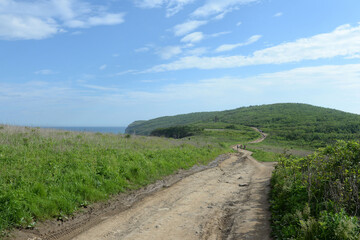 Fototapeta premium The road at Cape Tobizina. Russian Island. Primorsky Krai