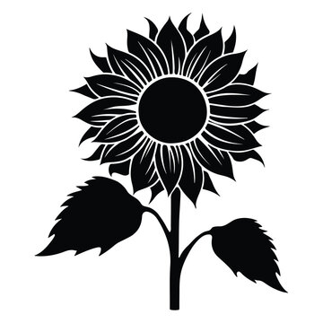 recommend clip art: Sunflower silhouette, Sunflower isolated vector illustration, Beautiful flower plant vector doodle
