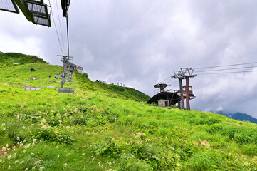Wildflowers and Chairlifts to Hakuba Happo One in Nagano, Japan
