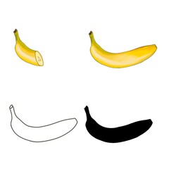 Watercolor banana whole, half in section, silhouette, outline isolated on a white background