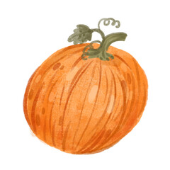 Pumpkin hand drawing. Cute autumn pumpkins in watercolor style.
