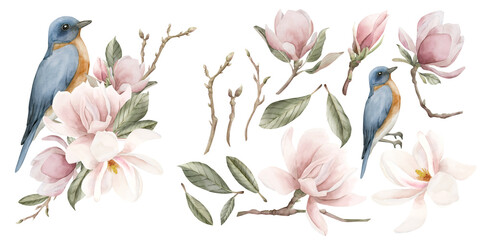 Blue bird on a branch with light pink magnolia flowers. Composition with isolates. Floral watercolor illustration © Leyla
