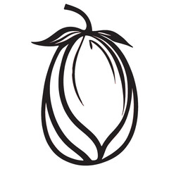 brinjal illustration draw 