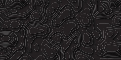 Abstract design with black and white abstract papercut and multi-layer cutout geometric pattern on vector Topographic canyon geometric map relief texture with curved layers beautiful design.
