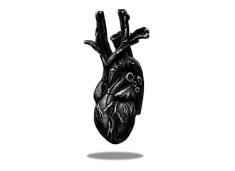 Black Anatomical Heart Model with Shadow on White Background