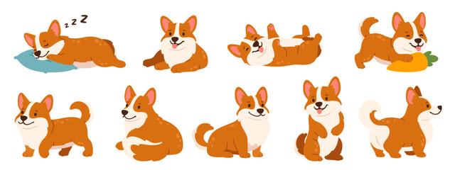 Corgi dogs. Cartoon little corgis in different poses. Cute puppy playing, relaxing, running, standing. Doggy kind corgi sleeping. Funny pet emotions. Pedigree animals. Vector set.
