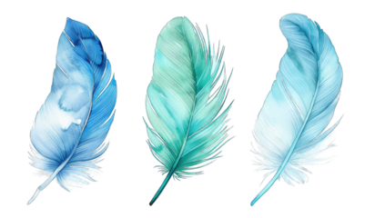 Blue green feather bird quill part of wing set collection water color isolated on transparent background cutout PNG