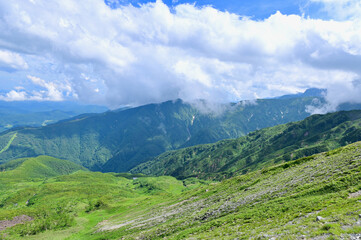 Fototapeta premium The Japanese Alps and Hakuba Valley in Green Season in Nagano, Japan