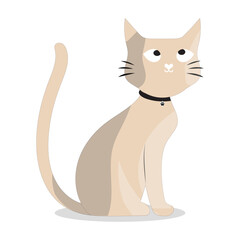 Cartoon Cat with Black Collar, Vector illustration of a cute cartoon cat with big eyes and a black collar, perfect for creative designs