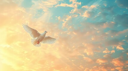 A white dove with outstretched wings flies through a cloudy sky at sunset, bathed in golden light.