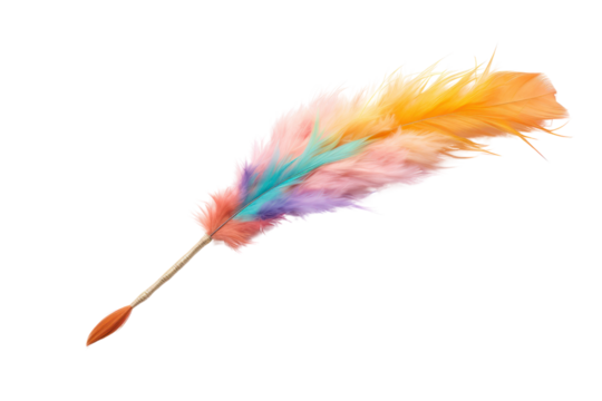 durable cat toy wand with a feathered attachment that mimics bird movement, isolated on white background