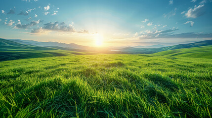 Fototapeta premium Spring green meadow with wild flowers, glass field with flowers in blue sky with cloud background.