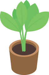 Green plant growing in a pot, representing growth, nature, and freshness