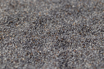 scattered poppy seeds for cooking